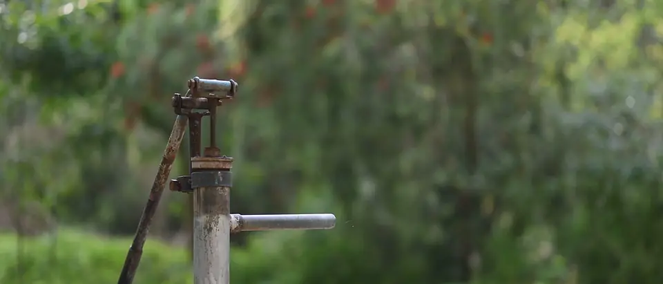 A metal water pump standing among green garden plants
